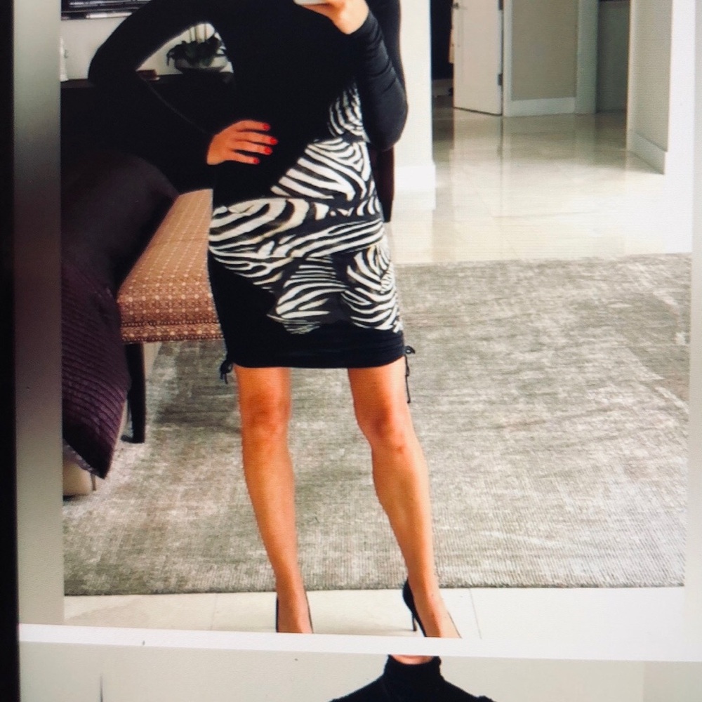 Roberto Cavalli Zebra Print Long Sleeve  Dress. Size 38. - Picture 5 of 12